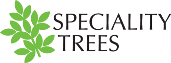 Speciality Trees Logo